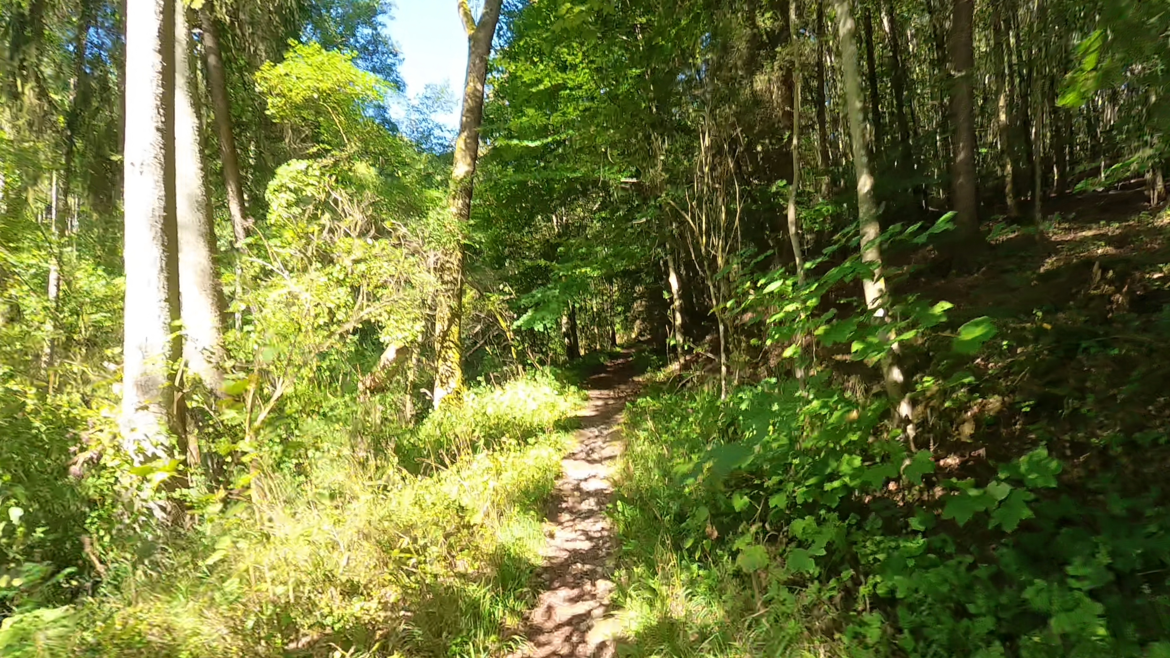 11-Schwalbtaltrail