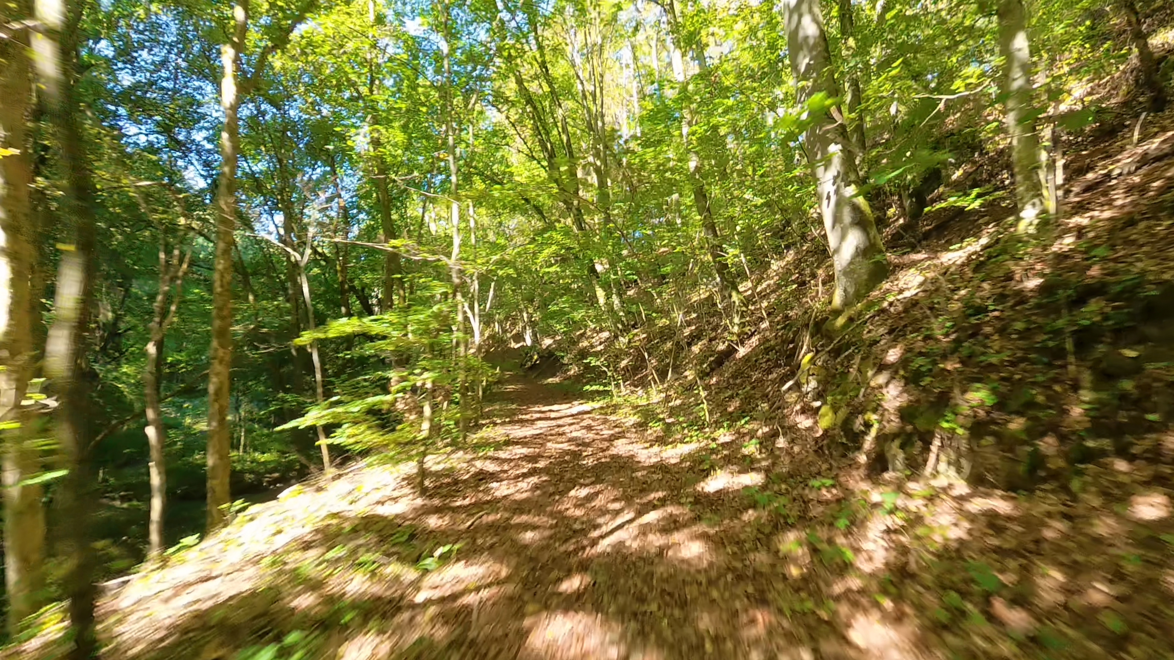12-Schwalbtaltrail