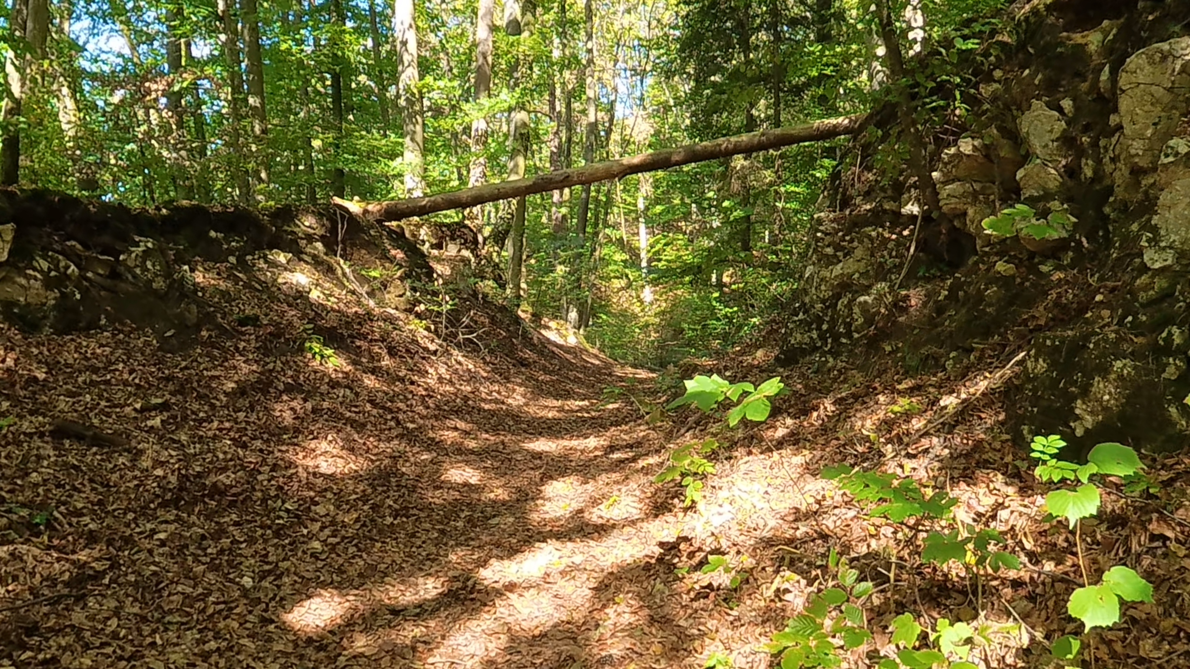 15-Schwalbtaltrail