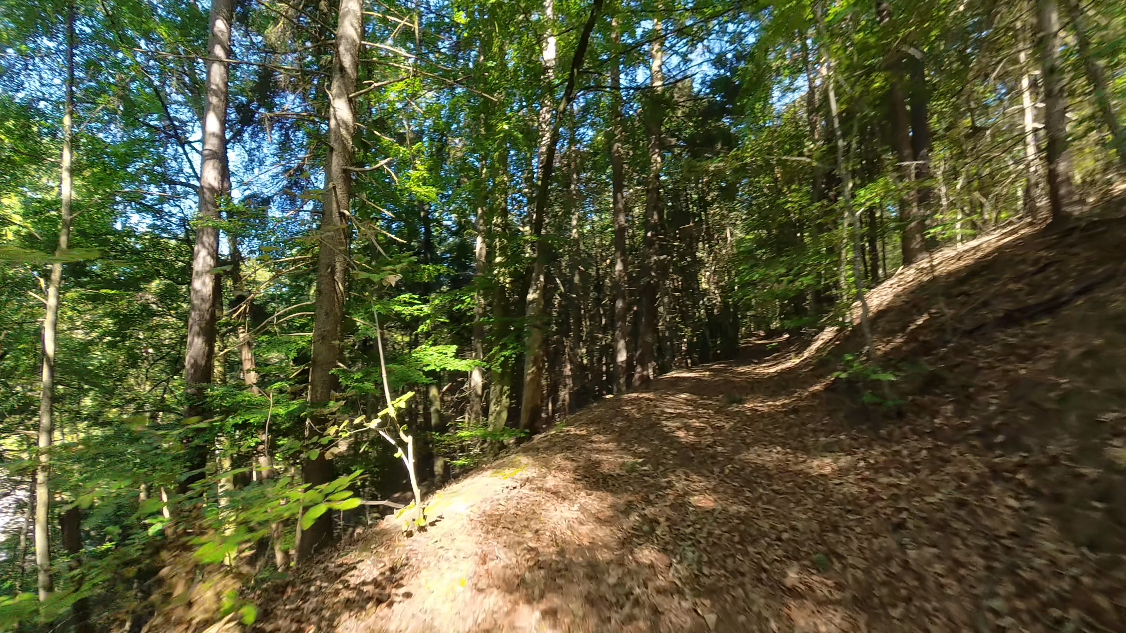 16-Schwalbtaltrail
