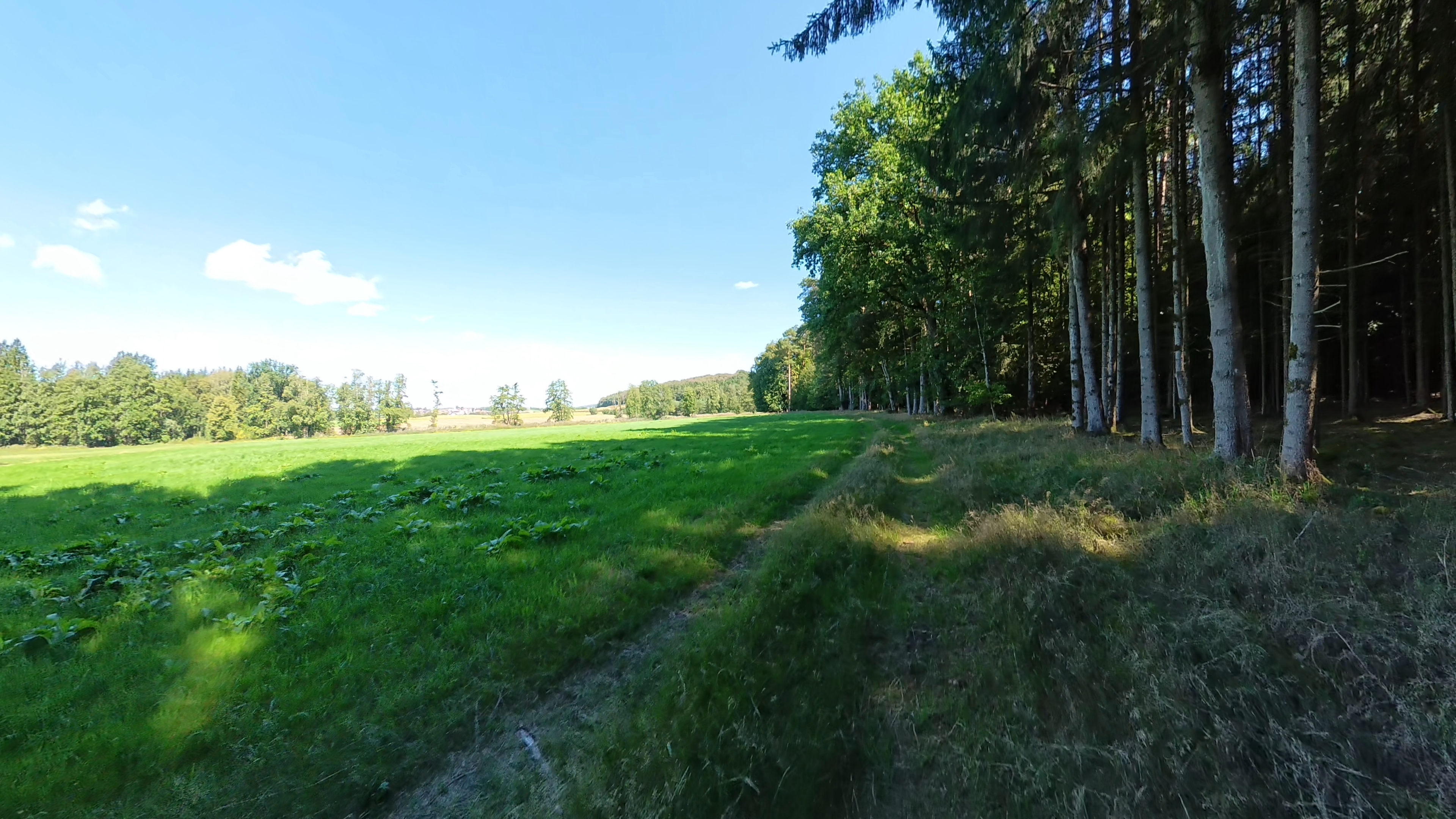 20-Waldrandtrail