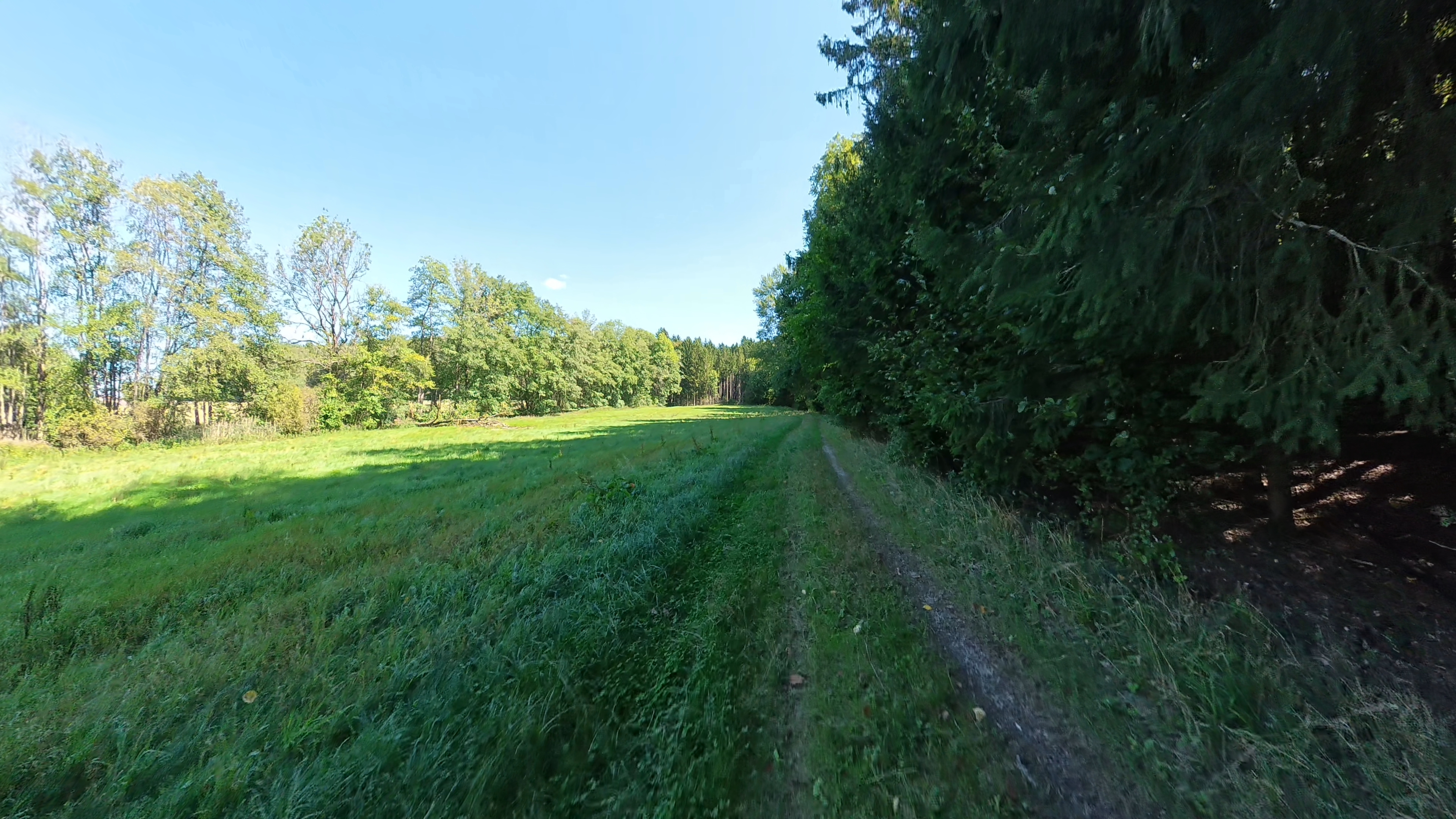 21-Waldrandtrail