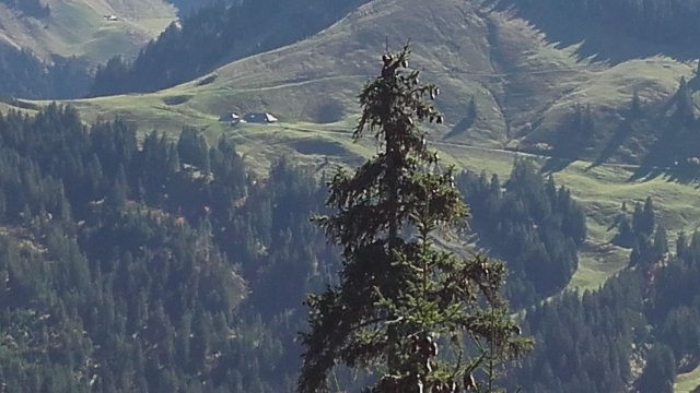 Jura - Berner Oberland - Elsass