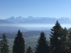 Jura - Berner Oberland - Elsass